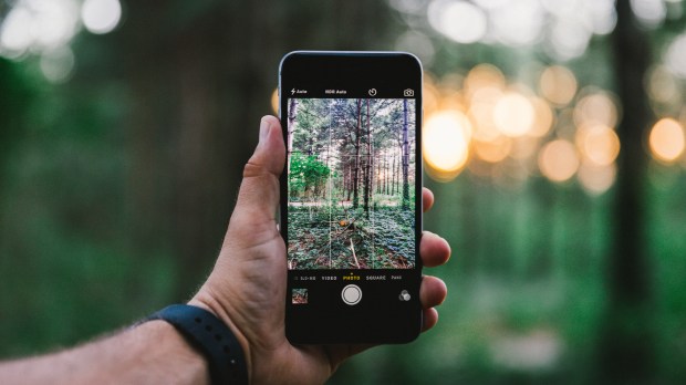 web-smartphone-forest-tree-app-pexel