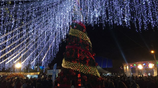 Irbil Noël