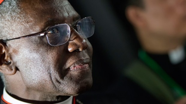 WEB3-CARDINAL-SARAH-PROFILE-HEADSHOT-Antoine-Mekary-Aleteia