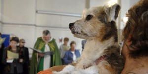 Rien de vivant n’est perdu dans le cœur de Dieu