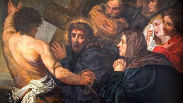 Jesus meets His Mother