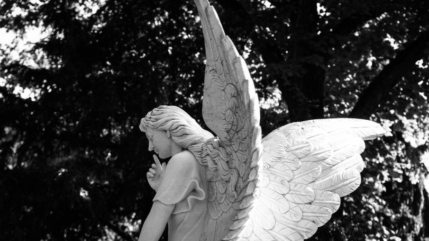 angel-2683072_960_720