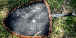 shield