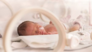 Bébé dans une couveuse