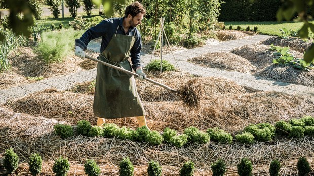 gardening