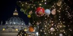 Christmas Tree Vatican