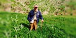 Petrus Karatay
