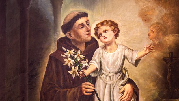 SAINT ANTHONY OF PADUA