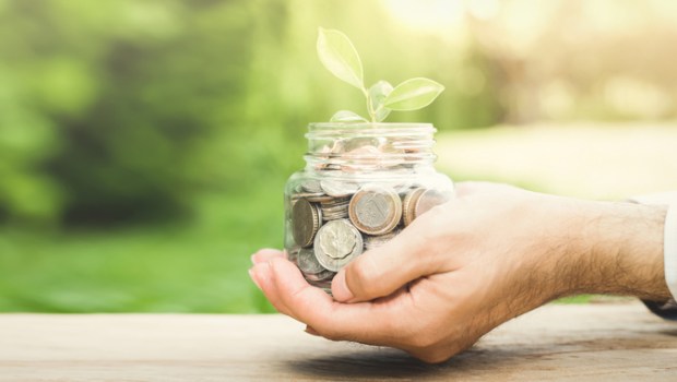 PLANT MONEY