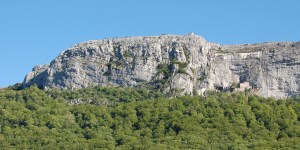 La Sainte-Baume, une « forêt relique »