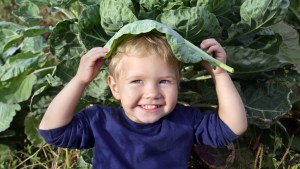 CABBAGE CHILD