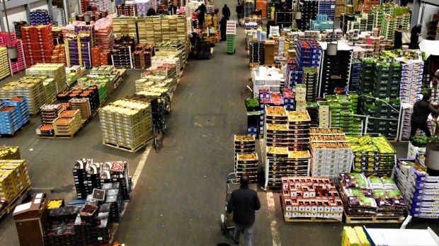Halles de Rungis