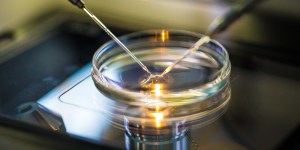 Bioéthique : « Le cadre finit inéluctablement par s’effacer »