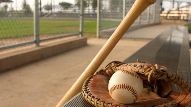 web3-baseball-bat-glove-sport-david-lee-shutterstock.jpg