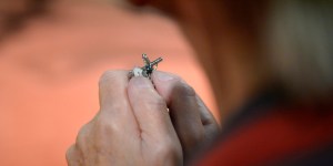 Le jour où la commémoration des défunts a été célébrée pour la première fois