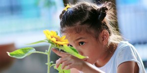 Les vacances à la campagne, merveilleuse occasion d&rsquo;expliquer des paraboles aux enfants