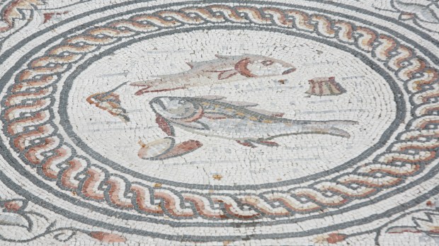 FISH-SYMBOL-MOSAIC-FR341951A.jpg