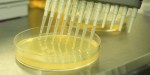 Bioéthique