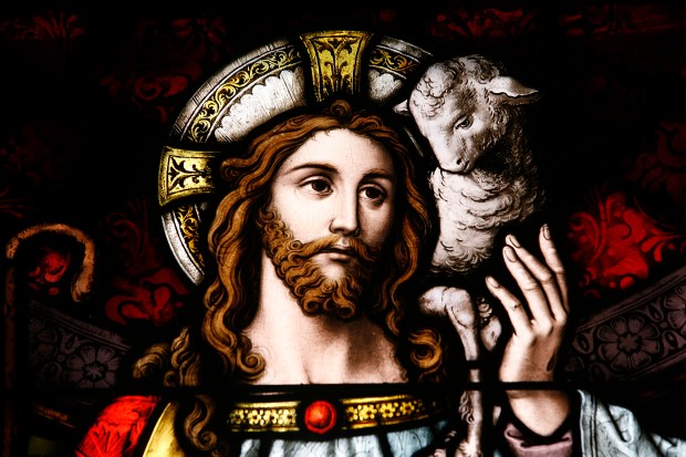 Jésus en bon pasteur