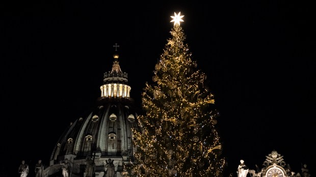 WEB2-AM151220-Christmas-tree-Vatican-Antoine-MEkary-ALETEIA-AM_3434.jpg