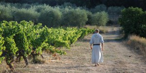 Au Barroux, la vigne héritière du travail des moines