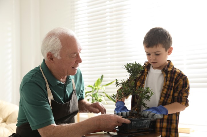 GARDENING