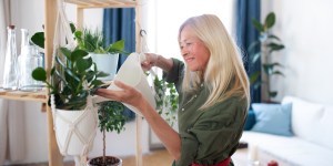 Cinq plantes à mettre chez soi pour booster sa joie de vivre