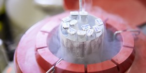PMA pour toutes : comment faire face à la demande de sperme ?