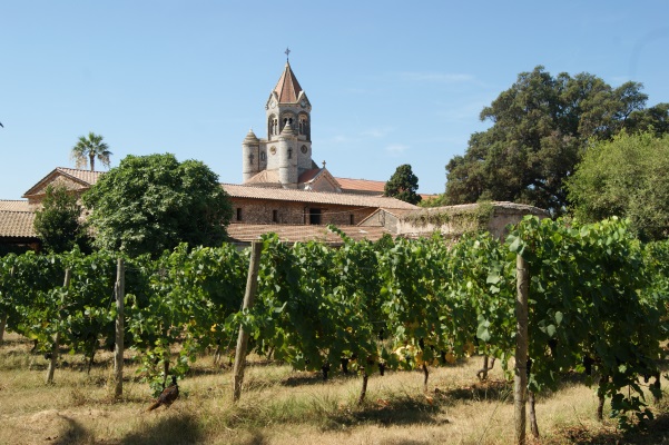 web-wine-france-abbaey-lerins-association-des-vins-dabbaye.jpg