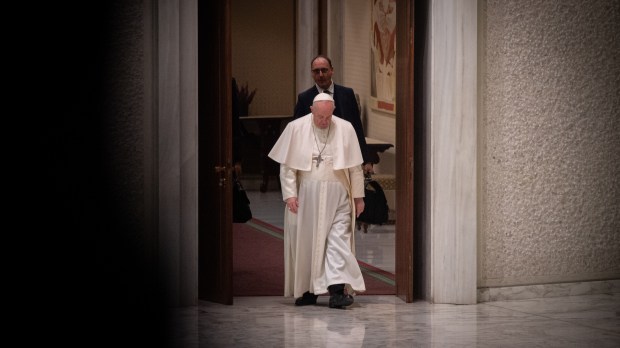 Pope Francis Audience