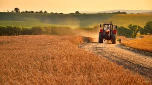 TRACTOR-shutterstock_375000301.jpg