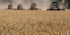 Ukraine : l’envolée du prix du blé fait craindre un risque de famines