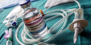 Euthanasie : au Canada, les garde-fous sautent les uns après les autres