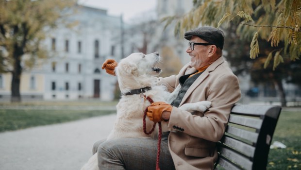 MAN DOG SENIOR