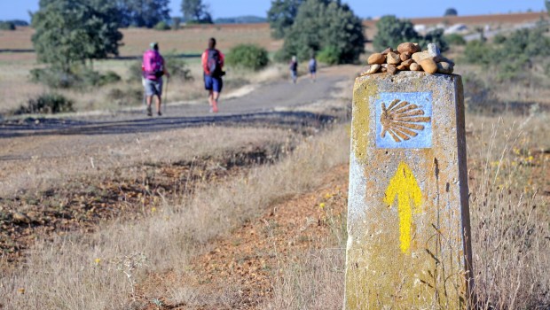 Camino