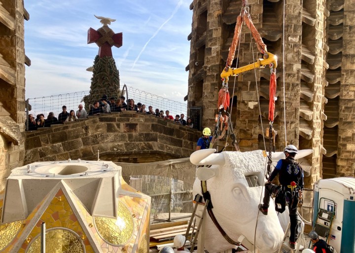 Sagrada-familia-boeuf-FhhoFgnXgAI26ZJ.jpg