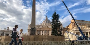 Le sapin de Noël du Vatican est sauvé !