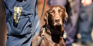La présence réelle « vérifiée » par&#8230; des chiens policiers