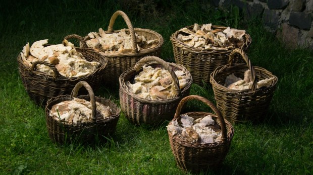 Loaves and fishes, baskets of bread