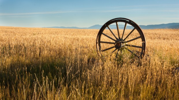 old cart wheel Shutterstock