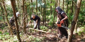 Des carmélites expertes en tronçonneuses !