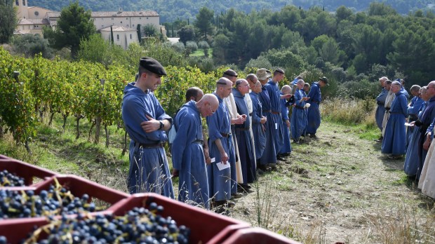 Barroux, Bénédictins, vignes, vin, vendanges, moines