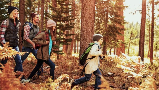 Family hiking in forest in autumn
