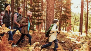 Family hiking in forest in autumn