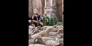 Deux pasteurs au milieu des brebis