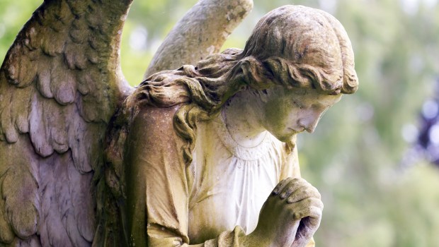 ANGEL-shutterstock_196641584