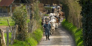 Comment l’Église accompagne quotidiennement le monde agricole