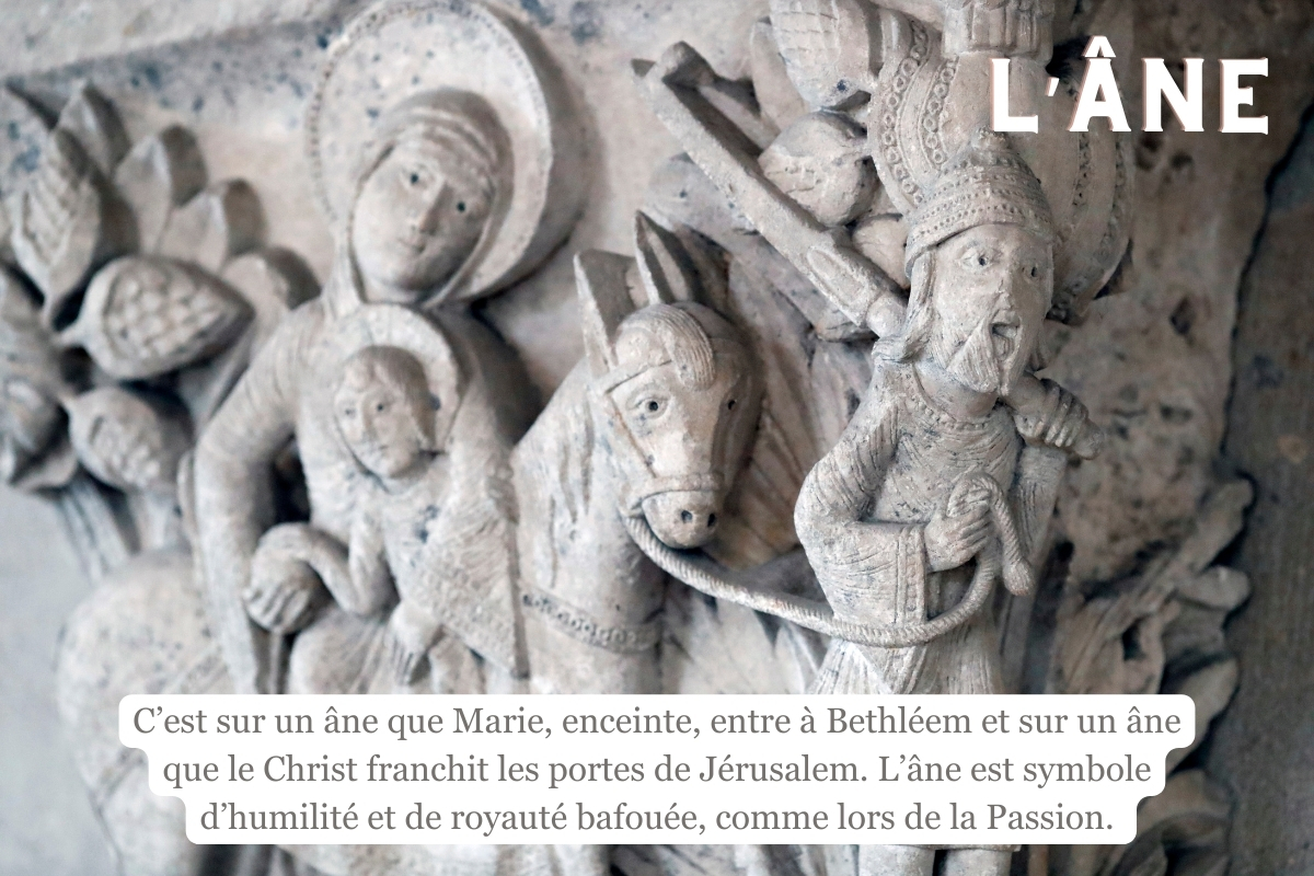 ane-Christ.jpg