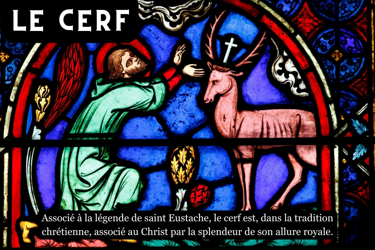 cerf-Christ.jpg