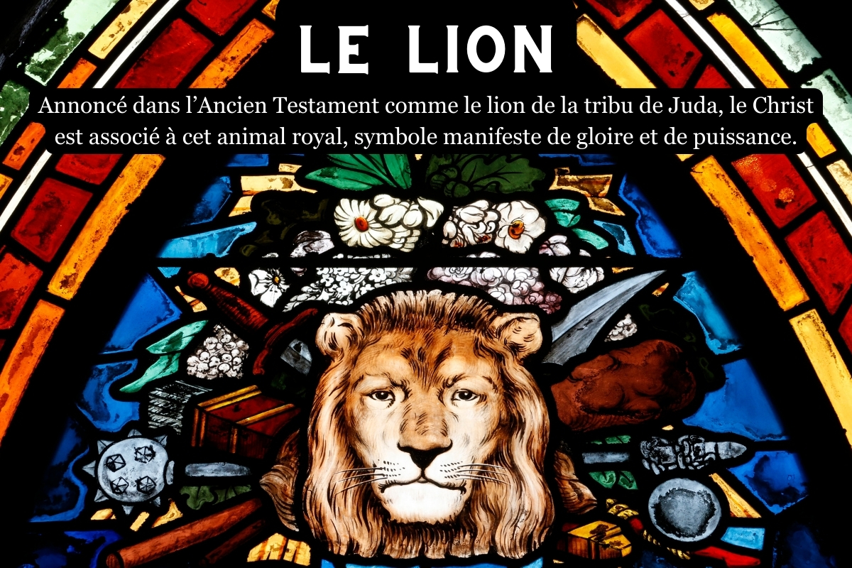 lion-Christ.jpg
